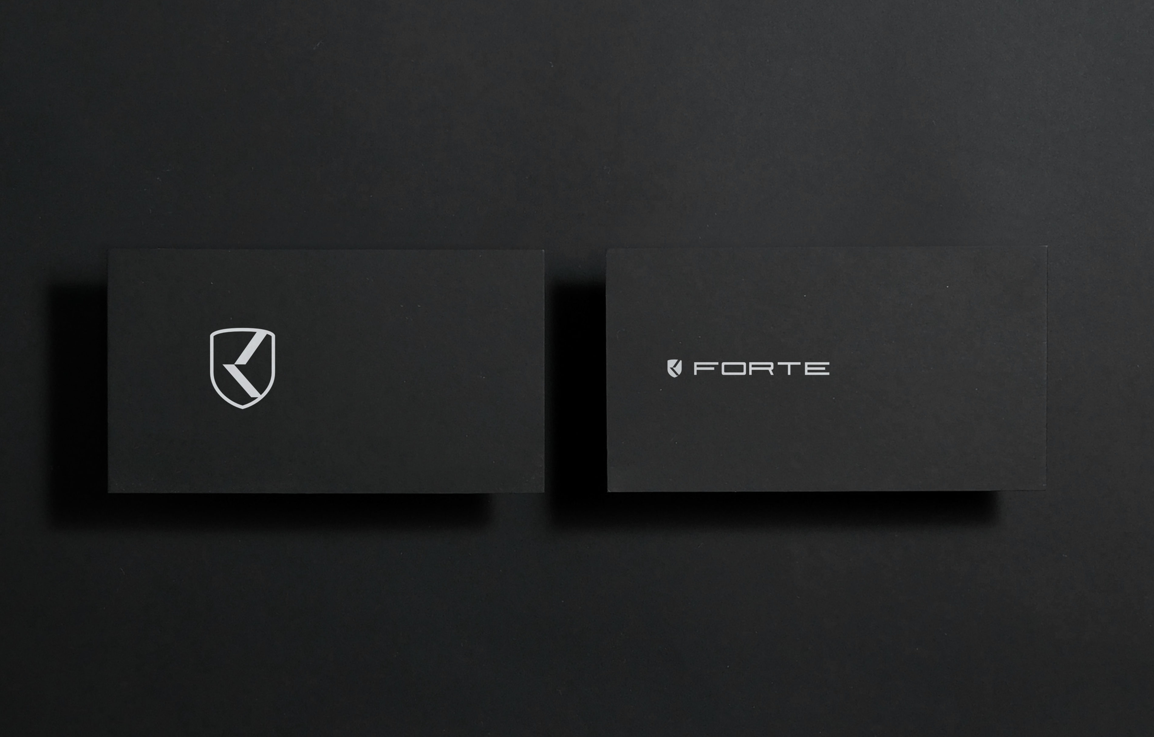 Forte Motors 5
